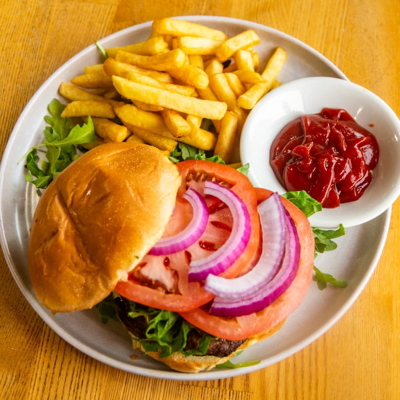 A burger with lettuce, tomato, red onion, fries, and ketchup on a light gray plate.